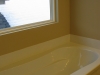 Seperate tub & Shower in master bath